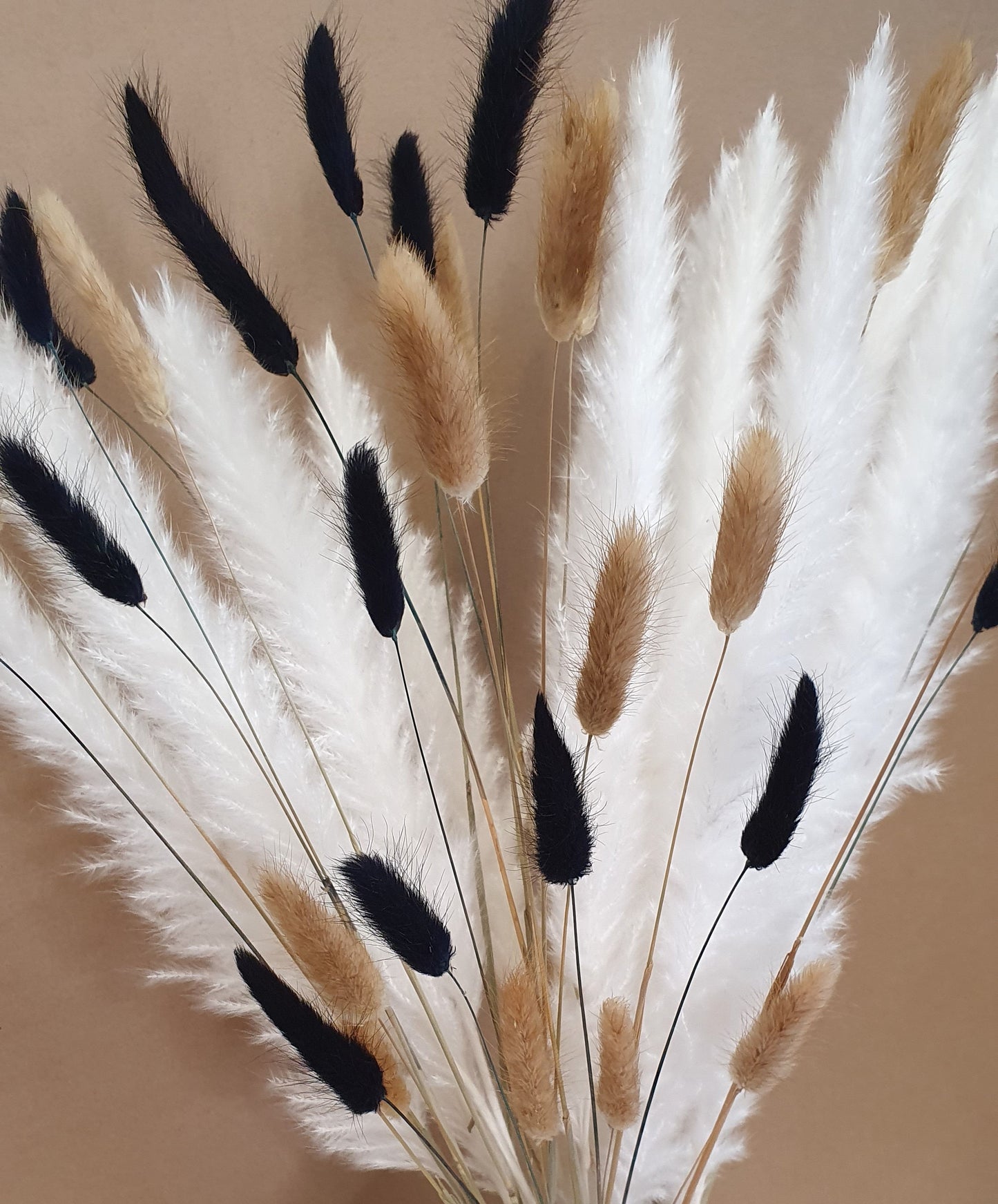 Pampas Grass & Bunny Tails Bundle - White, Black & Brown