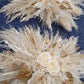 Dried Pampas Wall Decor - Gold