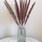 Natural Brown Pampas Grass