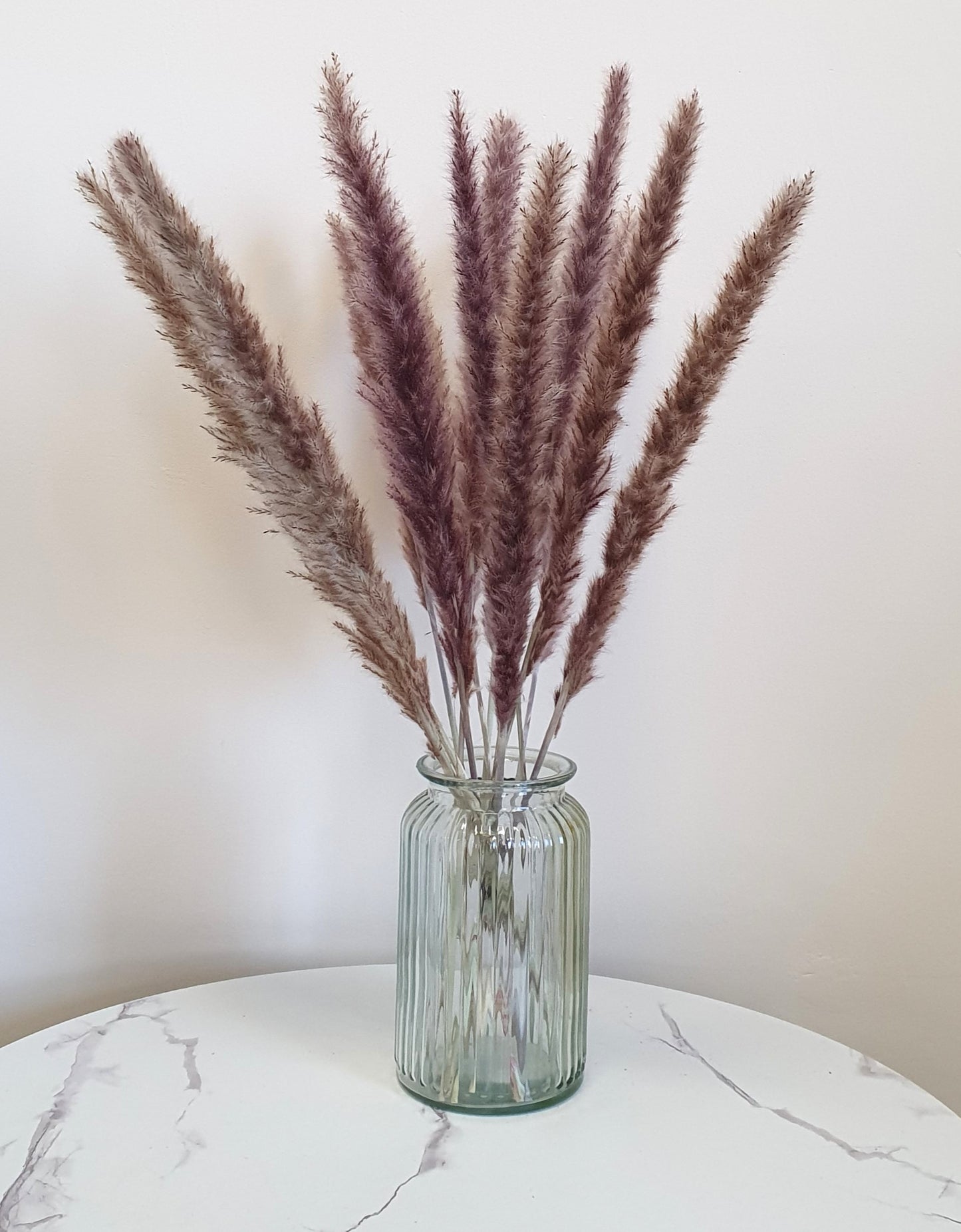 Natural Brown Pampas Grass