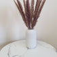 Natural Brown Pampas Grass