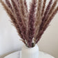 Natural Brown Pampas Grass