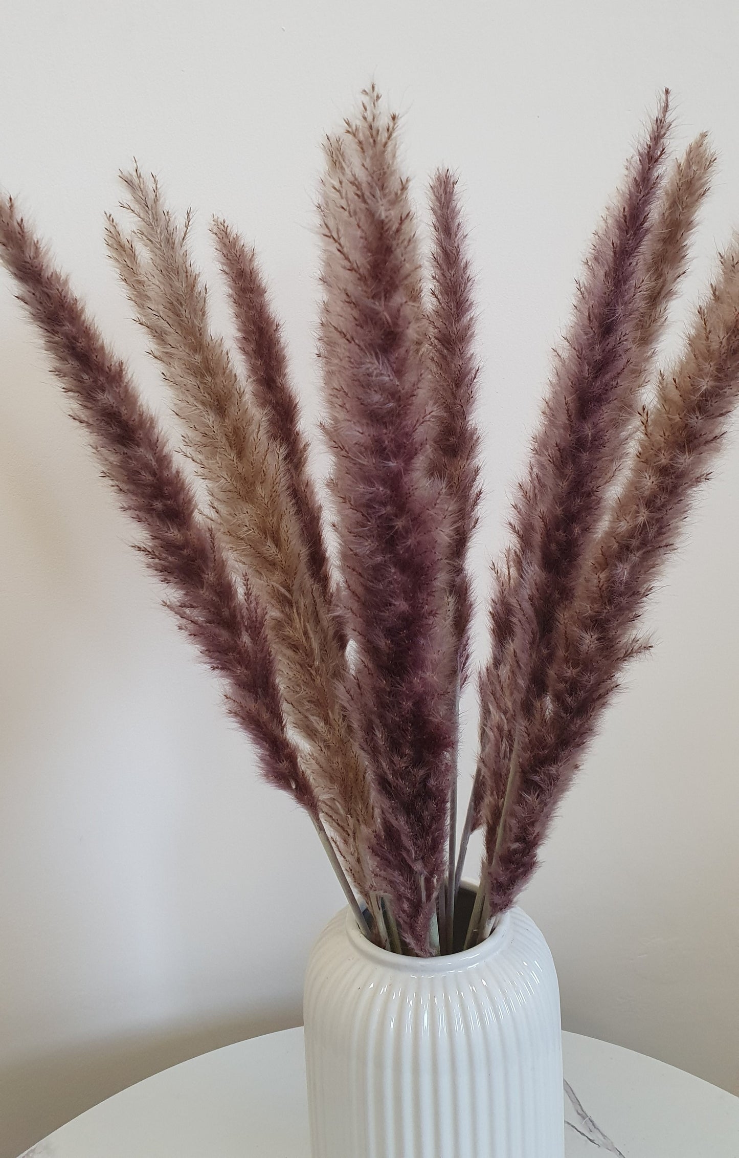 Natural Brown Pampas Grass