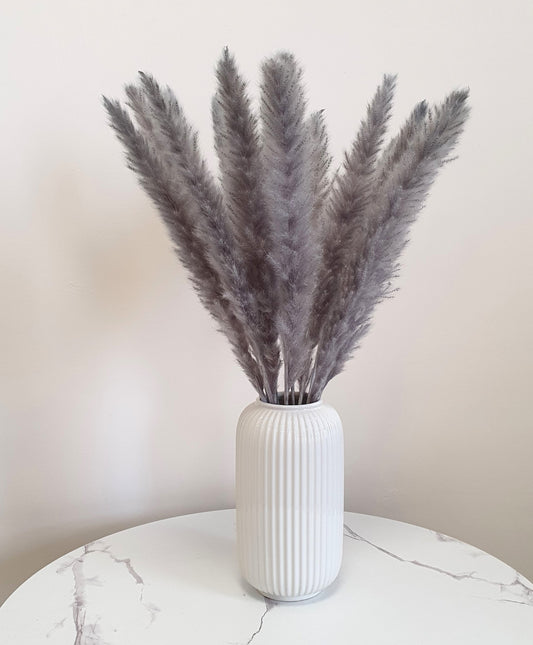 Light Grey Pampas Grass