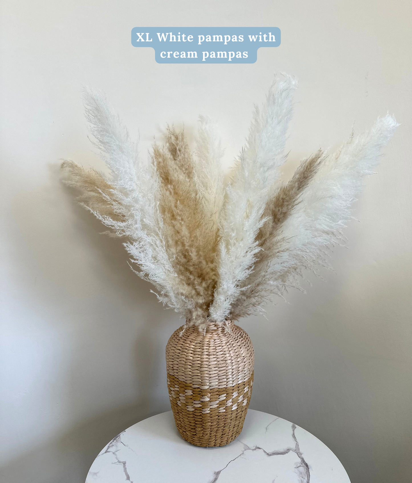 XL Fluffy Natural Pampas Grass