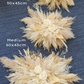 Dried Pampas Wall Decor - Neutral