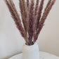 Natural Brown Pampas Grass