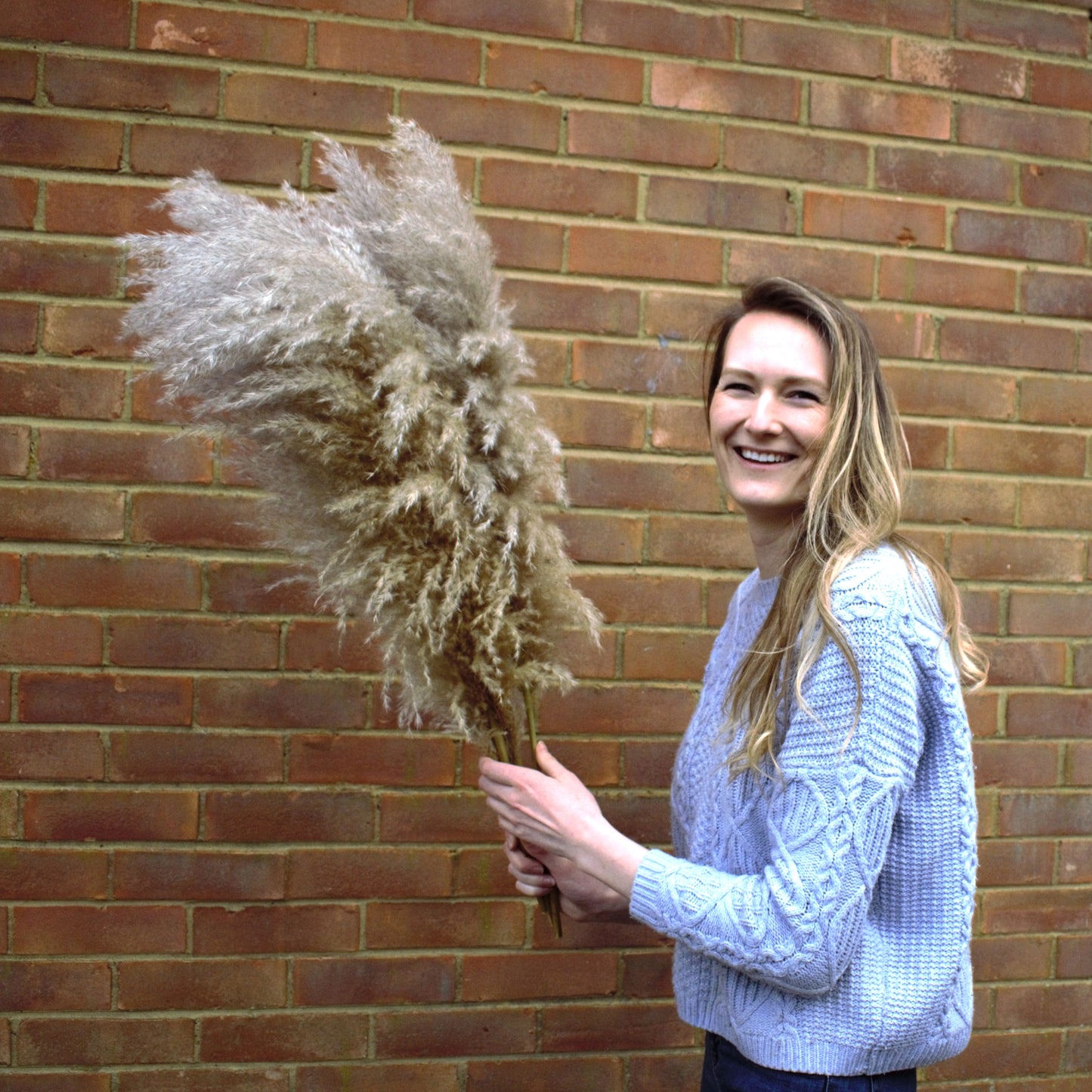 XL Fluffy Natural Pampas Grass