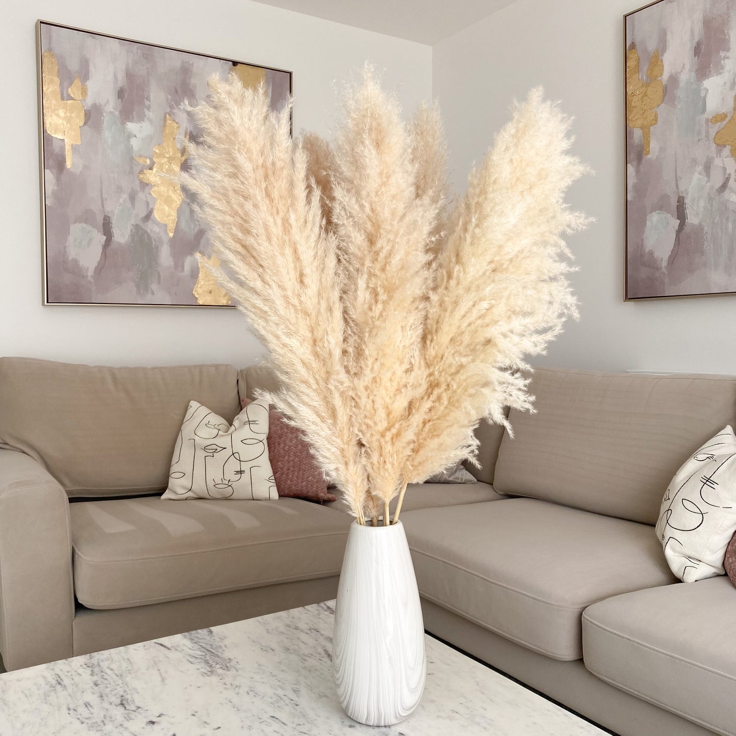 XL Fluffy Natural Pampas Grass