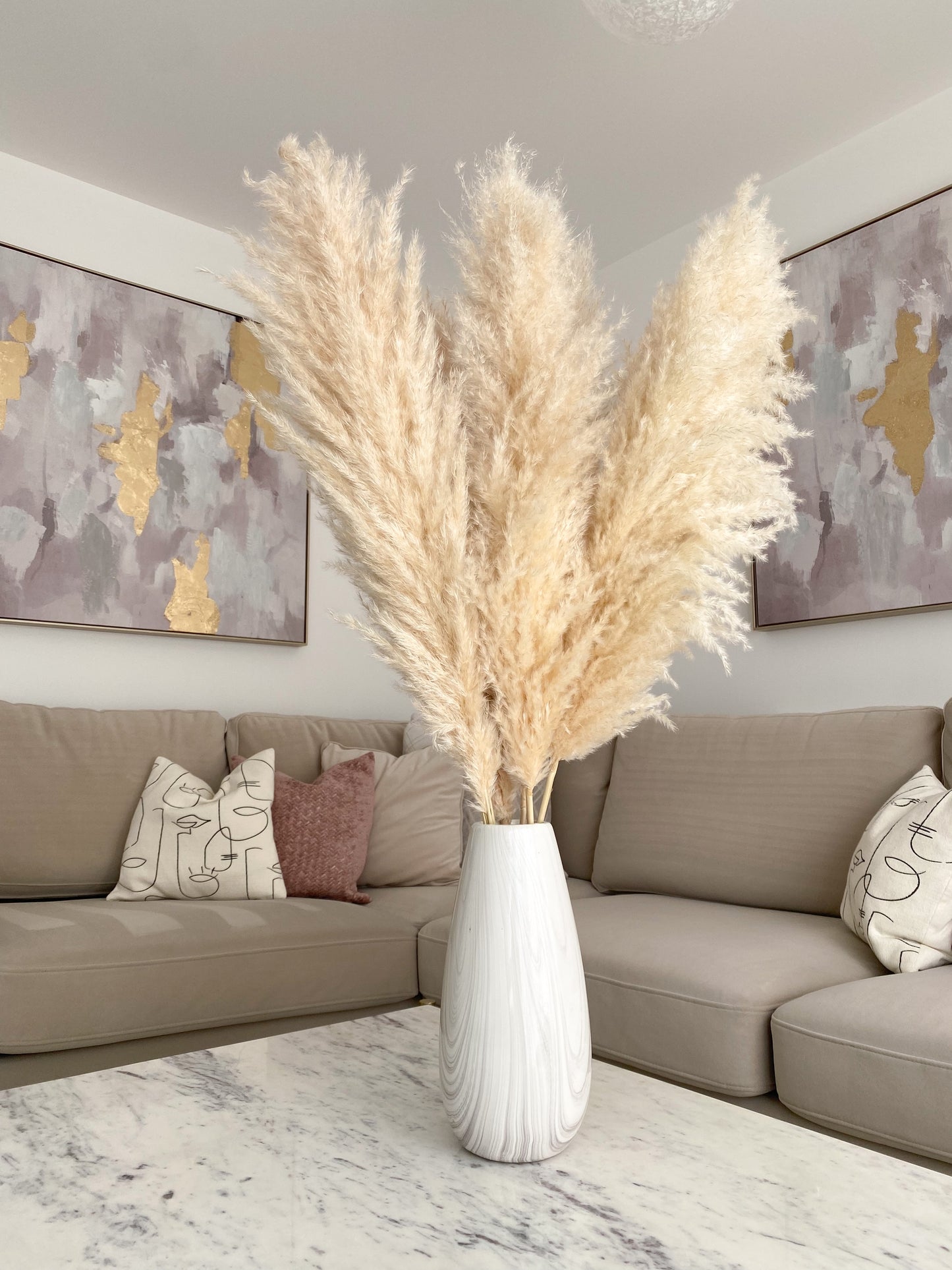 XL Fluffy Natural Pampas Grass