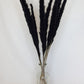 Small Black Pampas Grass
