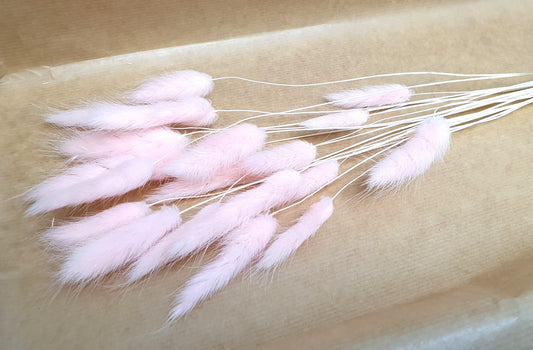 Pink Bunny Tails