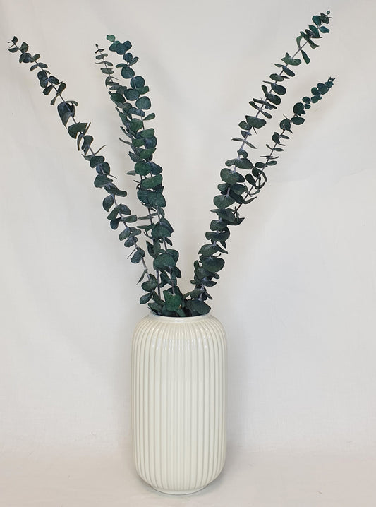 Preserved Eucalyptus Stems - Green