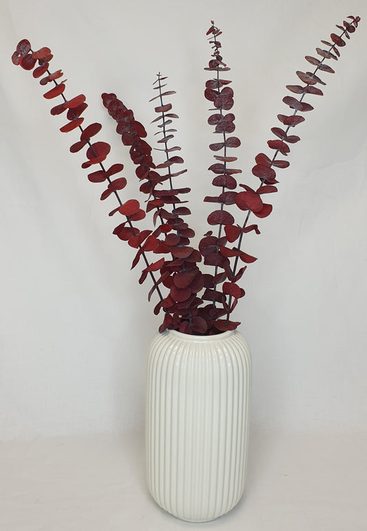 Preserved Eucalyptus Stems - Red