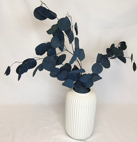 Preserved Eucalyptus (Silver Dollar) Stems - Blue/Green