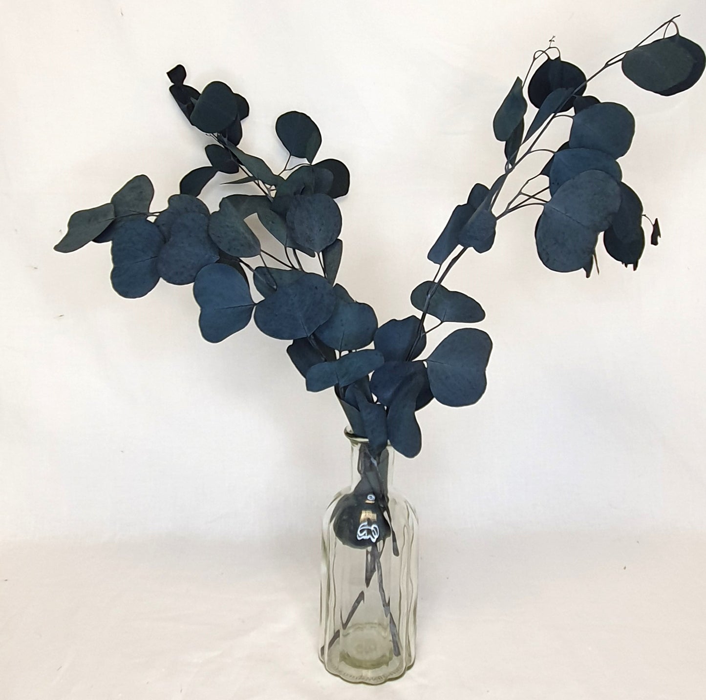 Preserved Eucalyptus (Silver Dollar) Stems - Blue/Green