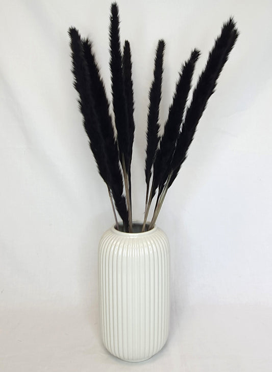 Small Black Pampas Grass